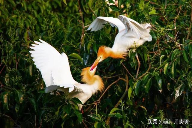 擁抱大自然！一家三口「坐擁6千坪森林」隱居121坪古宅　主人「身穿80元布衣」單純圓滿又知足