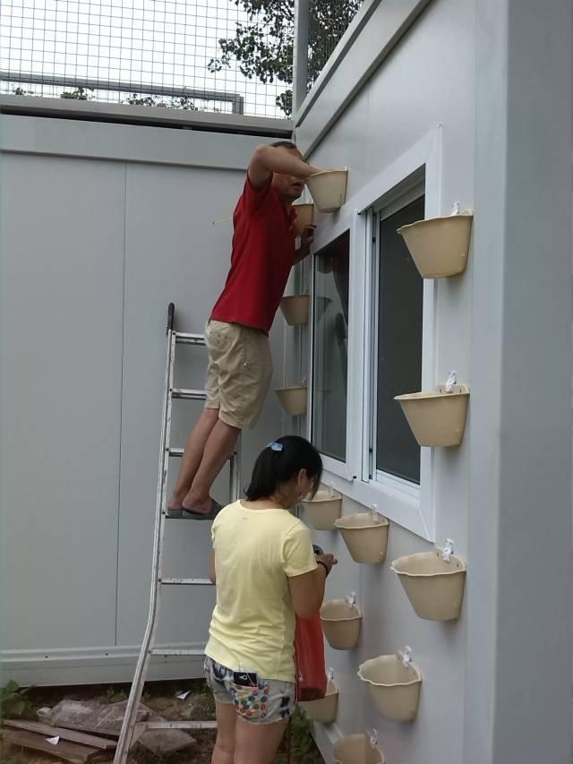 不用水泥不用磚！阿公為愛妻巧造「67坪豪華別墅」　走進去空中花園「宛如置身仙境」還有盪鞦韆❤