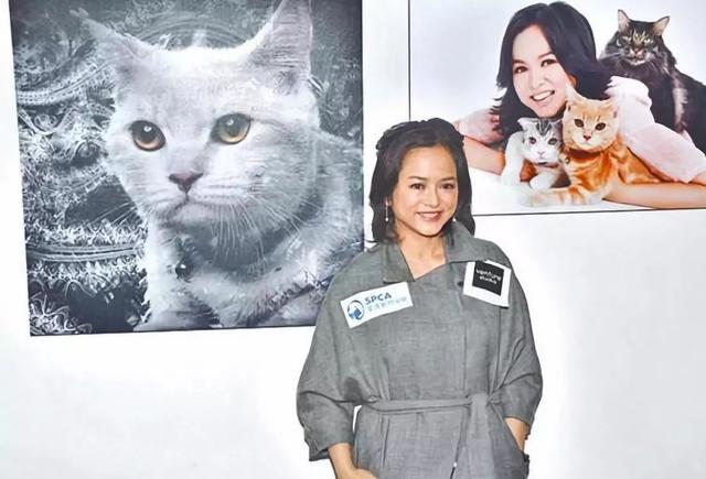 嫁豪門遭欺壓！當紅女星葉蘊儀「公主成棄婦」5年失去一切　多年後再現身「緊抱孩子大哭」：我是自己的女王