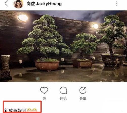 向太當阿嬤了？向佐「曬照片藏玄機」發文稱「再添新成員」 　疑似媳婦郭碧婷有喜「向太大方回應」
