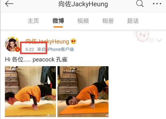 向太當阿嬤了？向佐「曬照片藏玄機」發文稱「再添新成員」 　疑似媳婦郭碧婷有喜「向太大方回應」