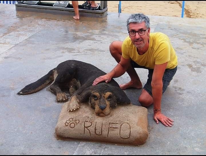 乖乖趴著超淡定!沙灘上「出現巨大水牛」遊客嚇傻 再走近一看「民眾嗨翻搶合照」爆紅全網:太珍貴了