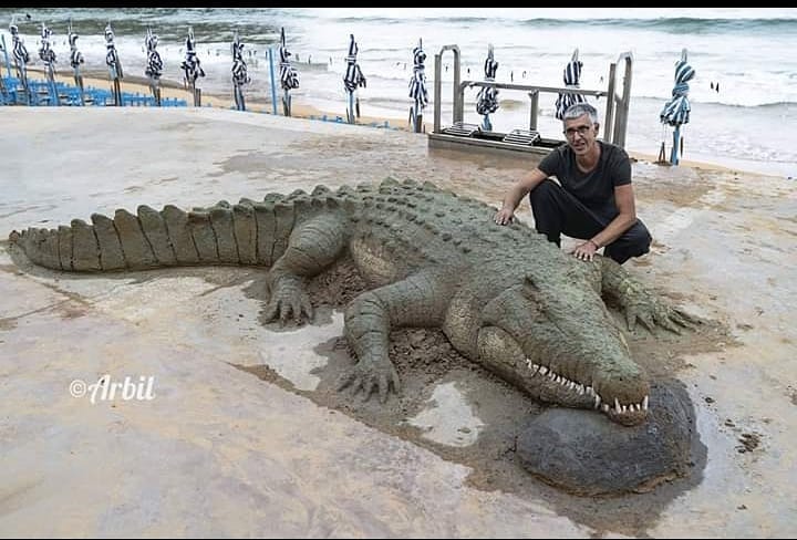 乖乖趴著超淡定!沙灘上「出現巨大水牛」遊客嚇傻 再走近一看「民眾嗨翻搶合照」爆紅全網:太珍貴了