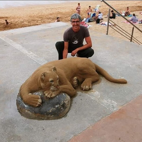 乖乖趴著超淡定!沙灘上「出現巨大水牛」遊客嚇傻 再走近一看「民眾嗨翻搶合照」爆紅全網:太珍貴了