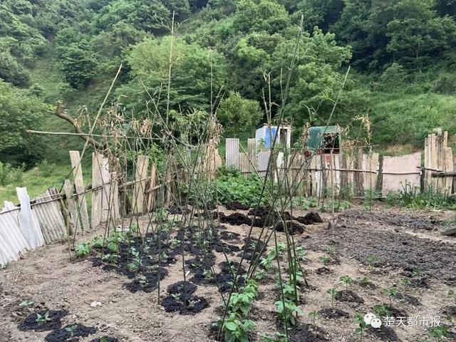 隱居深山30年！73歲老夫妻自建房屋「喝山泉水不用電」 積極樂觀「照顧患病妻兒」養雞放羊怡然自得