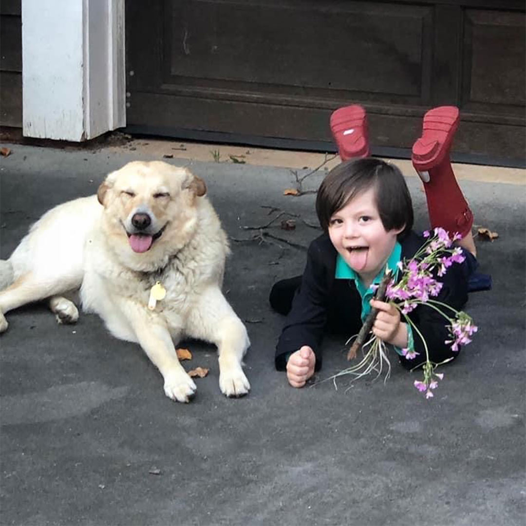 媽媽說可以「跟喜歡的人結婚」！5歲弟「求婚10歲狗狗」理由太暖：我怕長大牠就不在了...