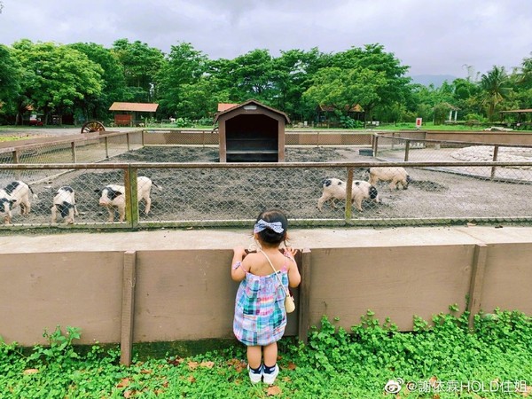 到農場踏青！Hold住姐女兒「站在豬圈外」呆望小豬　陌生叔「突送她紅蘿蔔」反應讓媽媽笑翻：搞錯了吧