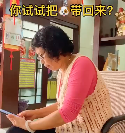 曾說養狗就煮來吃！阿公阿嬤如今「幫打燈拍美照」　弓箭步「喬角度」：這樣才漂釀～