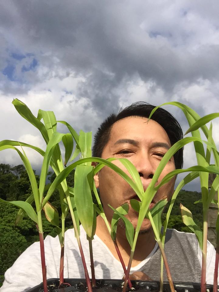 曾任豪門管家！許傑輝「靠貼心出頭天」走進辜家大門　「坐擁四棟房產」力拼開民宿夢