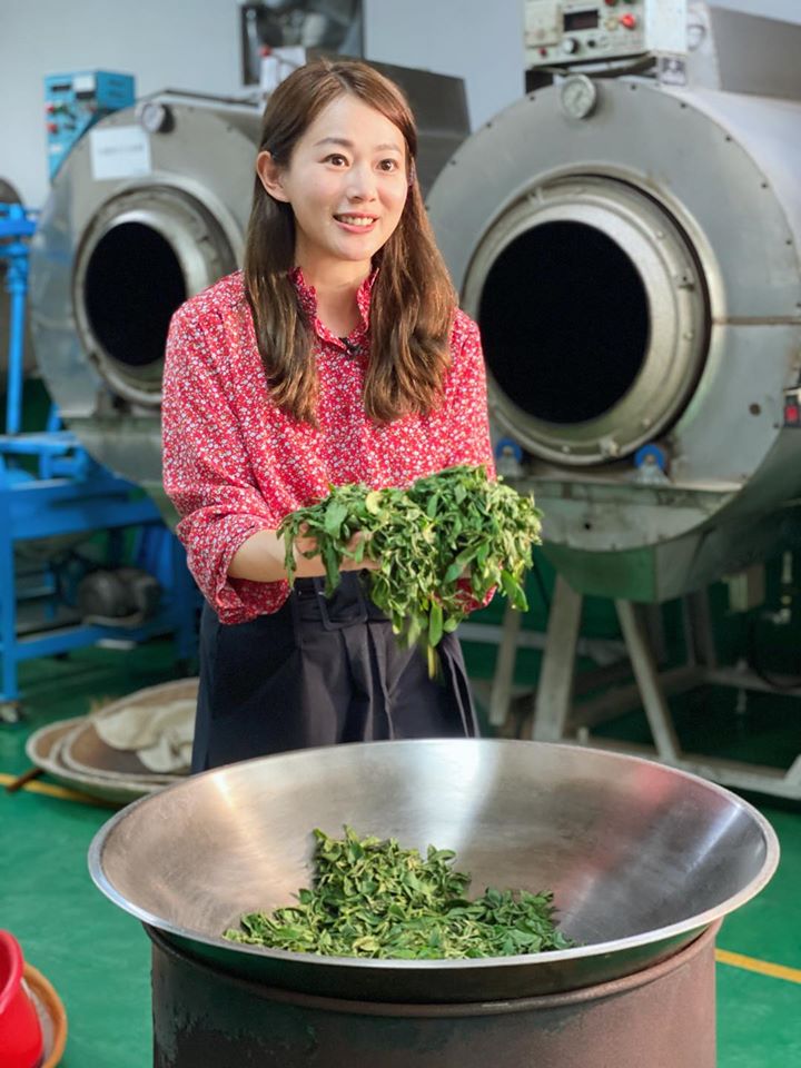 美女主播狠斷5年婚！被愛沖昏頭「見不到10次就閃婚」揭婚後超大反差　「財產全給前夫」只為完全自由