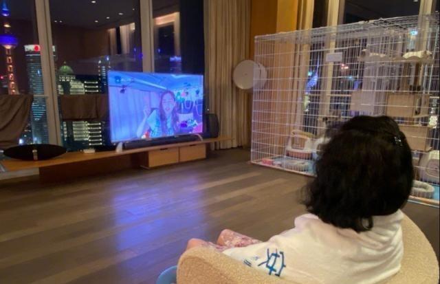 Baby破億豪宅曝光！內部裝修華麗「客廳大到放滑梯」  擁百萬級夜景「一旁的巨型寵物籠」引爭議