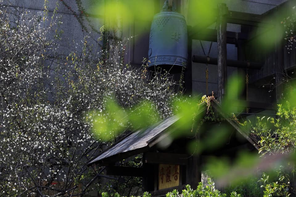 【全台】台灣10大最美廟宇！彰化玻璃廟「夜中絕美絢爛光景」只排第4　「前3名實至名歸」此生必訪❤️