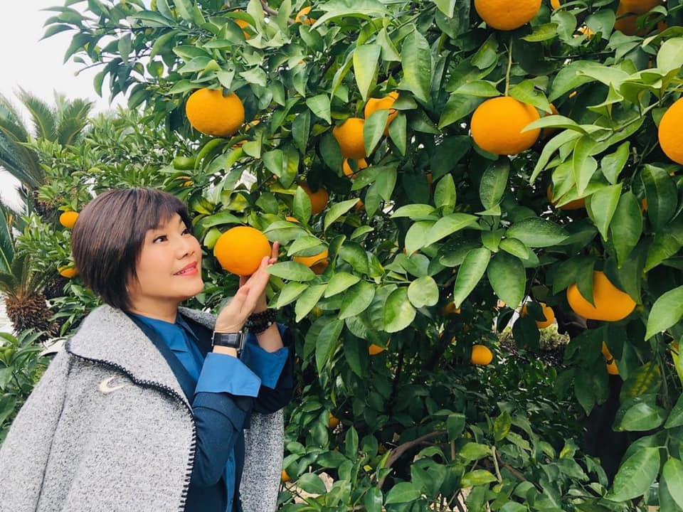 籲吃素救地球！唐美雲曝契機「手術當下就懺悔」：怎麼會吃葷　茹素20多年「父離開曾萌生出家念頭」