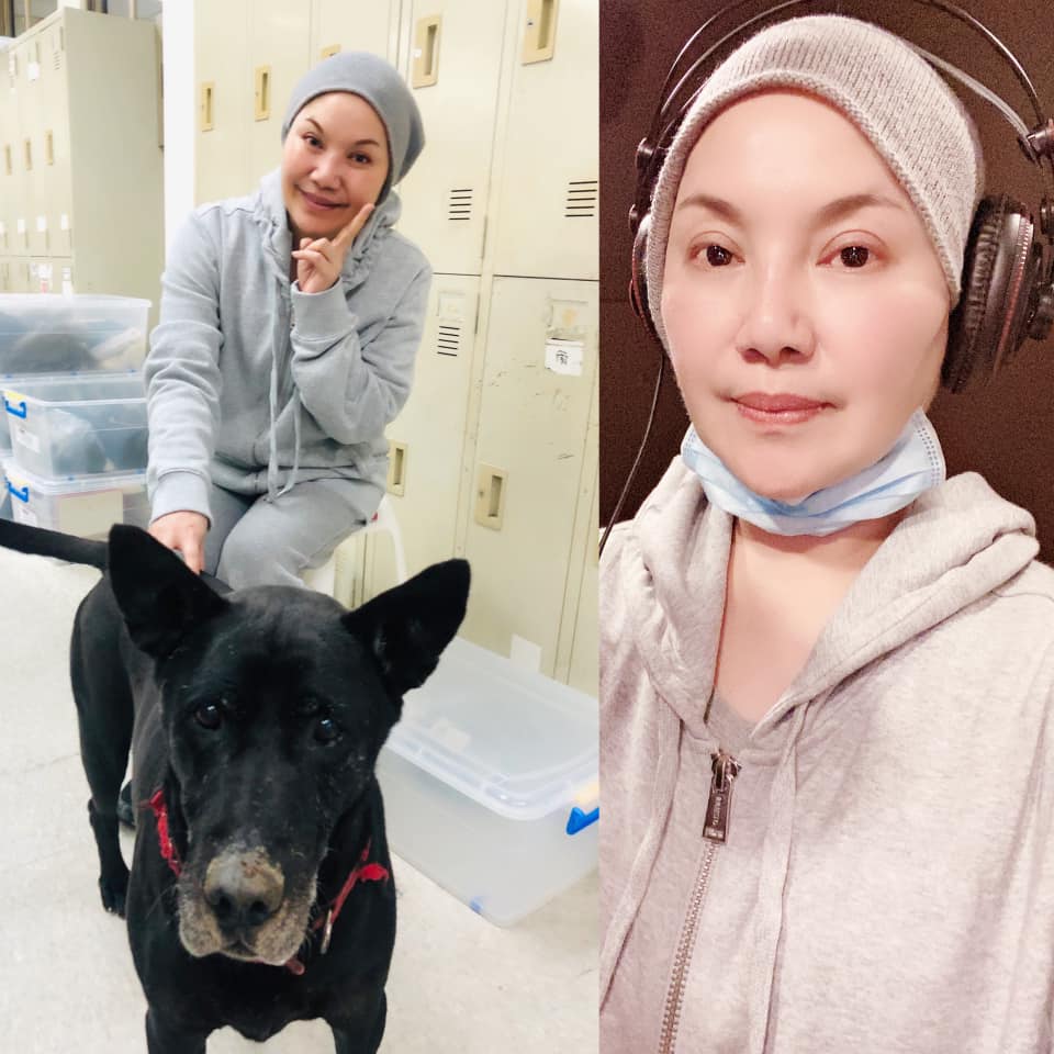 籲吃素救地球！唐美雲曝契機「手術當下就懺悔」：怎麼會吃葷　茹素20多年「父離開曾萌生出家念頭」