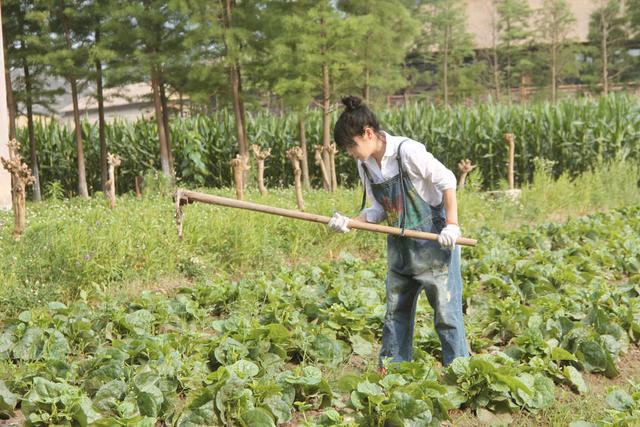 窮到沒錢繳房租！53歲影后成名後「靠掃廁所換租」標會維生　如今轉念「拿起鋤頭歸田園」：學會放下