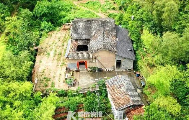 全村早搬空！男子「獨守深山老房30年」不願走　只為照顧一群「每年都會來的特殊家人」
