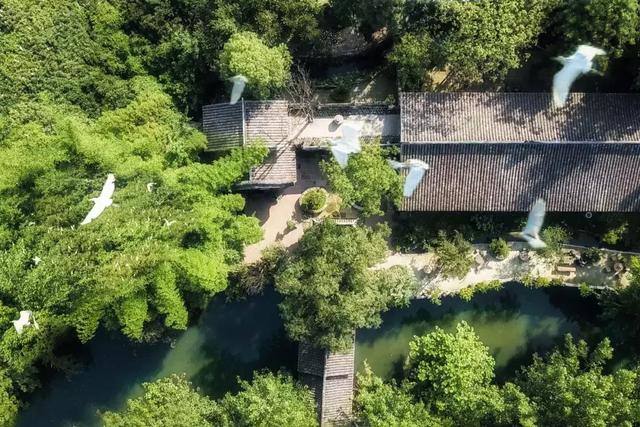 帶全家造房隱居！花20年「種植整片森林」改造農田　親手「蓋121坪房」養花餵鳥享愜意生活