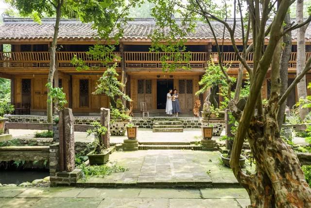 帶全家造房隱居！花20年「種植整片森林」改造農田　親手「蓋121坪房」養花餵鳥享愜意生活