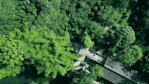 帶全家造房隱居！花20年「種植整片森林」改造農田　親手「蓋121坪房」養花餵鳥享愜意生活