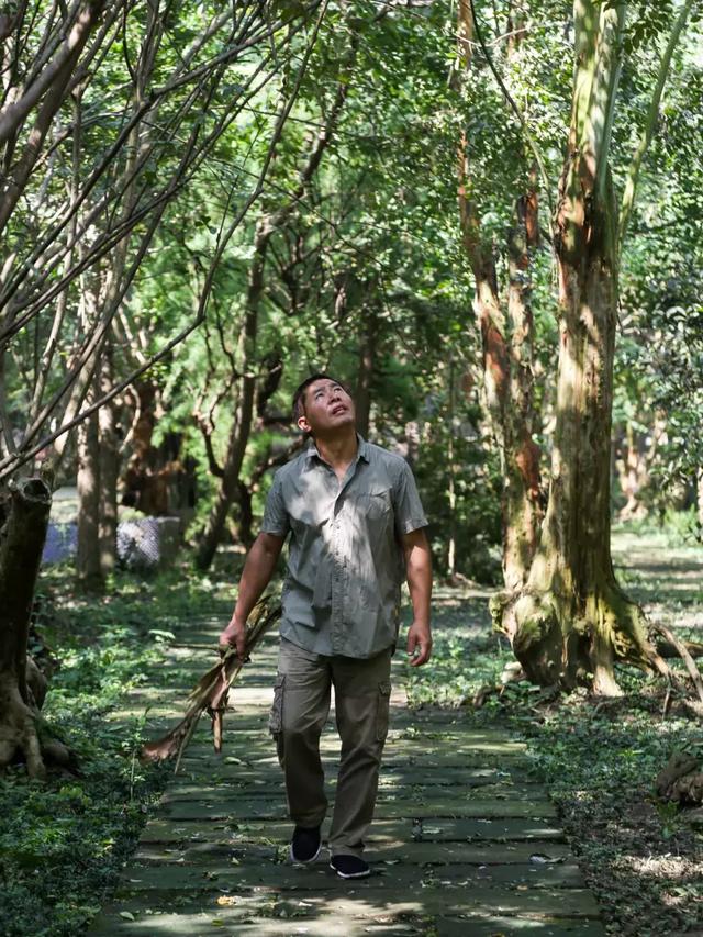 帶全家造房隱居！花20年「種植整片森林」改造農田　親手「蓋121坪房」養花餵鳥享愜意生活