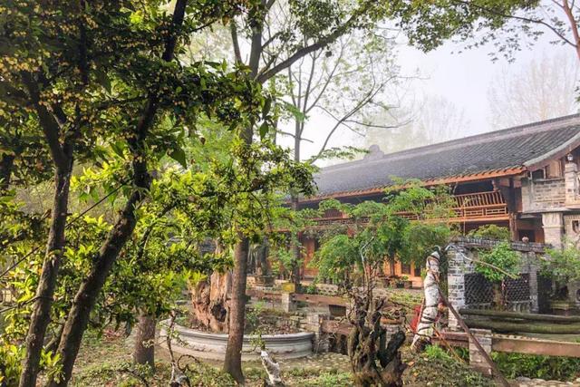 帶全家造房隱居！花20年「種植整片森林」改造農田　親手「蓋121坪房」養花餵鳥享愜意生活