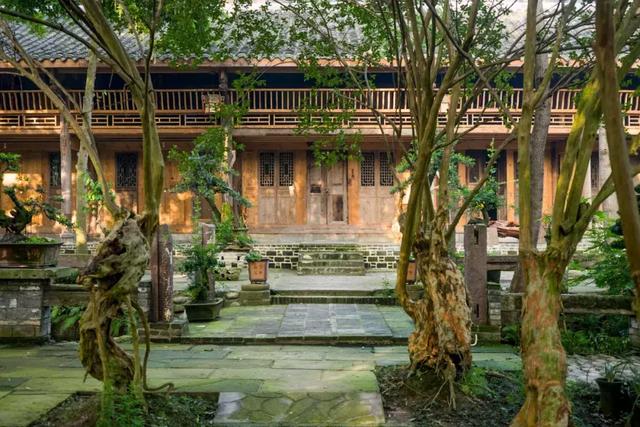 帶全家造房隱居！花20年「種植整片森林」改造農田　親手「蓋121坪房」養花餵鳥享愜意生活