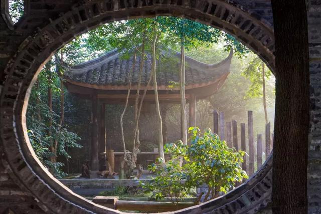 帶全家造房隱居！花20年「種植整片森林」改造農田　親手「蓋121坪房」養花餵鳥享愜意生活