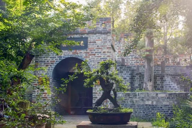 帶全家造房隱居！花20年「種植整片森林」改造農田　親手「蓋121坪房」養花餵鳥享愜意生活