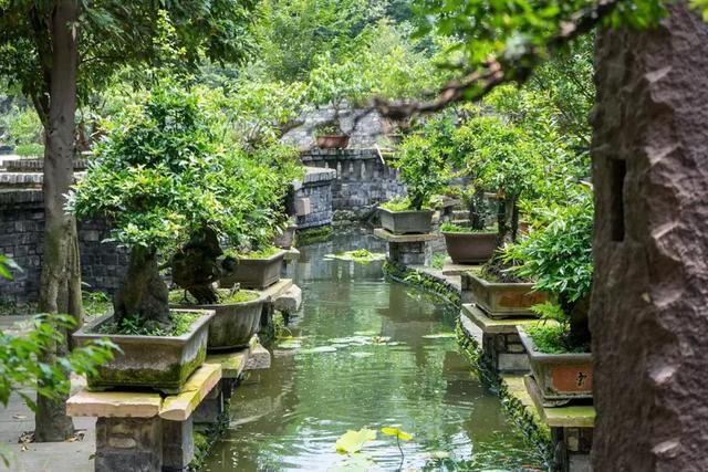 帶全家造房隱居！花20年「種植整片森林」改造農田　親手「蓋121坪房」養花餵鳥享愜意生活