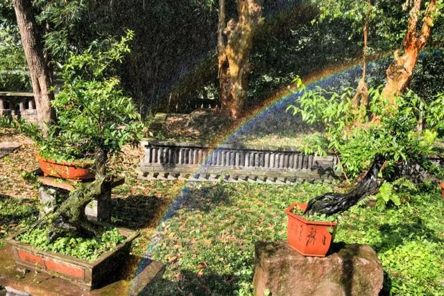 帶全家造房隱居！花20年「種植整片森林」改造農田　親手「蓋121坪房」養花餵鳥享愜意生活