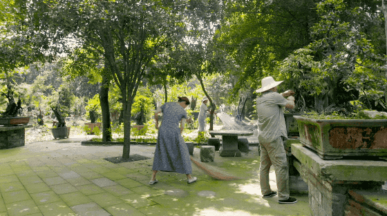 帶全家造房隱居！花20年「種植整片森林」改造農田　親手「蓋121坪房」養花餵鳥享愜意生活