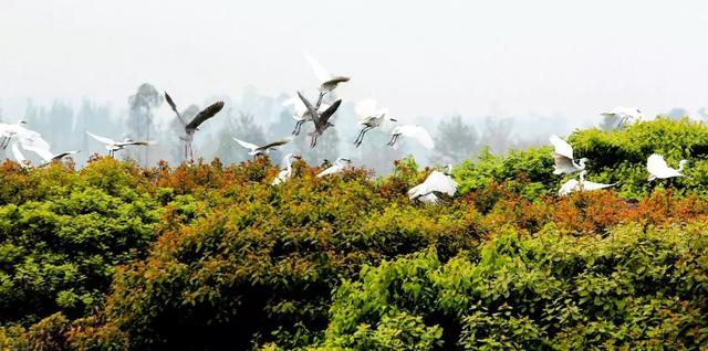 帶全家造房隱居！花20年「種植整片森林」改造農田　親手「蓋121坪房」養花餵鳥享愜意生活