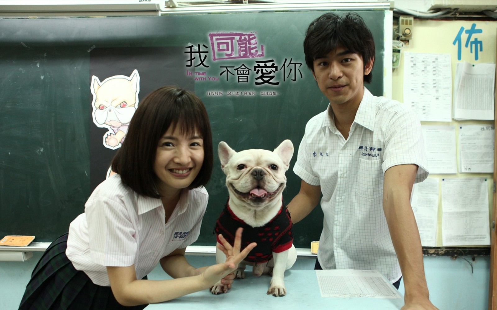 你看了幾部？盤點9部「成功紅到韓國」的台灣影劇　劉以豪靠劇「晉升韓妞最愛」連大咖明星都瘋狂