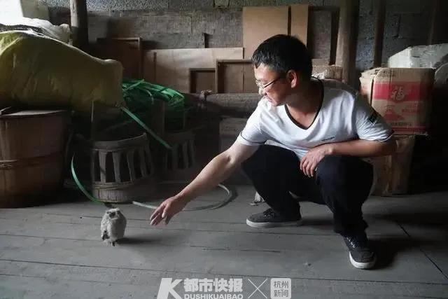 全村早搬空！男子「獨守深山老房30年」不願走　只為照顧一群「每年都會來的特殊家人」