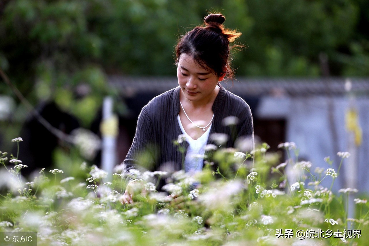 世事太紛擾！30歲女辭職「隱居1900年古寺」不問世事　種菜煮粥「漫步山林天人合一」愜意自在