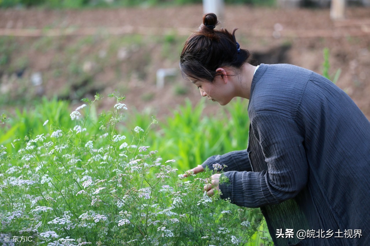 世事太紛擾！30歲女辭職「隱居1900年古寺」不問世事　種菜煮粥「漫步山林天人合一」愜意自在