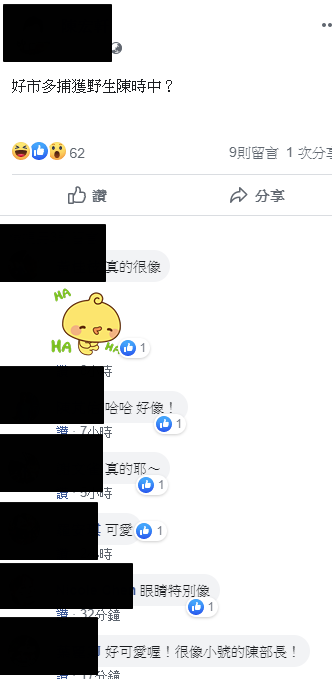 大賣場巧遇部長？他拍照分享「嬰兒版陳時中」皺眉表情神還原　本人也靦腆認證「他比較好看啦」