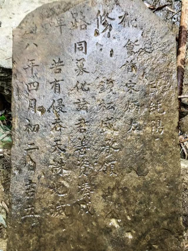 堅持不造路！女兒「想與父母同住」山中隱居開民宿　一家四口「3年零收入」天天漫步百年古道