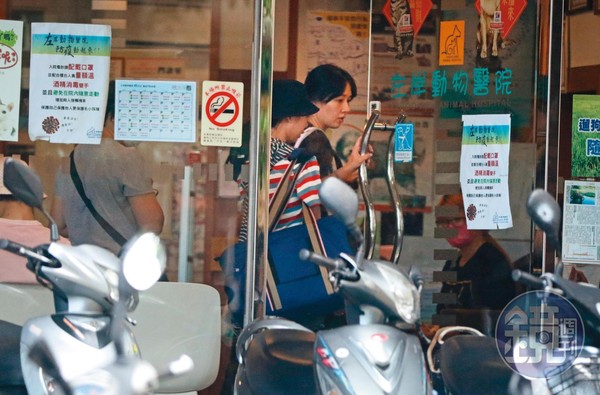 剛嫁豪門9個月！郭碧婷驚傳有喜「挺6個月孕肚上街」　身邊人曝「懷上金孫也沒名分」婆婆回應了