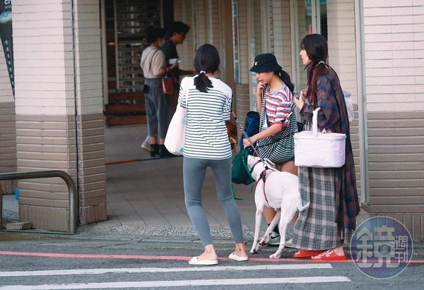 剛嫁豪門9個月！郭碧婷驚傳有喜「挺6個月孕肚上街」　身邊人曝「懷上金孫也沒名分」婆婆回應了
