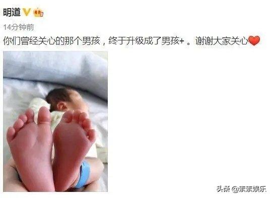 爸媽喜抱孫！明道「溫馨拍全家福」臉上掛滿笑容　時刻護妻兒「體貼拱父母曬恩愛」孝心滿滿
