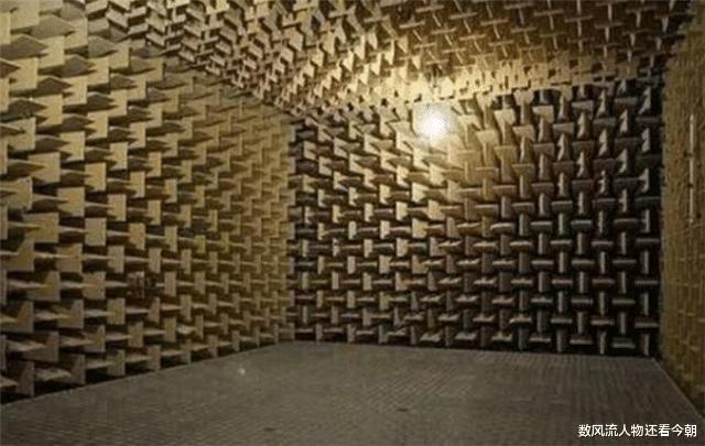斥資4200萬！富商打造「世界最安靜消音室」 　成功待「超過1小時可獲30000元」結果眾人看傻