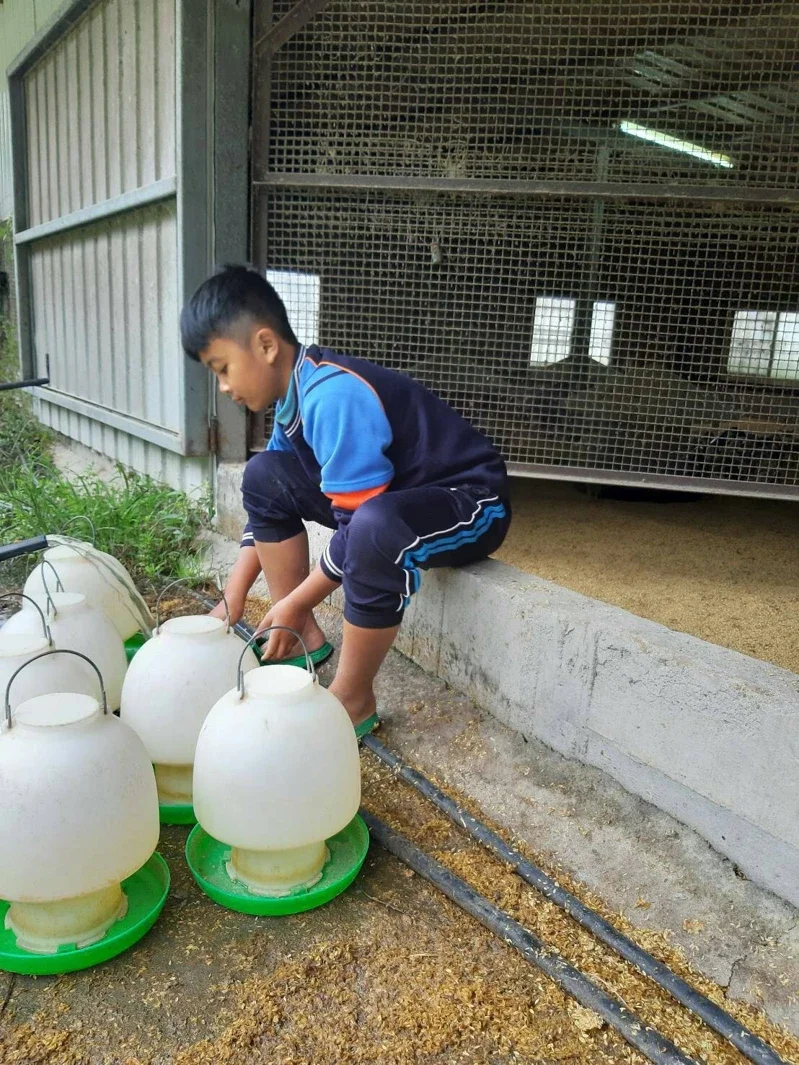 不怨天尤人！小五童每天「協助行動不便父起居」照顧弟妹　棄飛行員夢「想繼承養雞場」原因有洋蔥