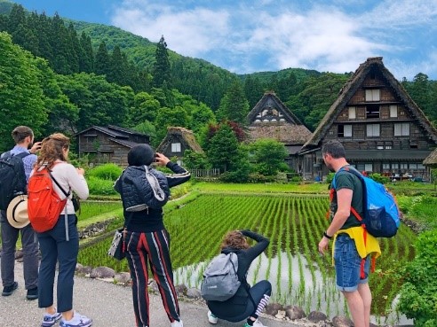 不用跑日本！台版合掌村「42棟繽紛小木屋」隱身絕美山林　雲霧繚繞「宛如置身仙境」網讚：此生必去