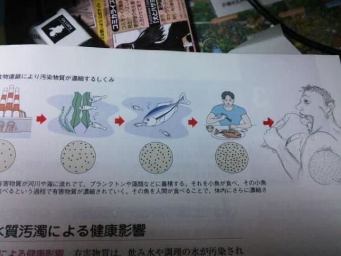 化學式變大雄！盤點「日本不愧是動漫大國」的爆笑塗鴉　超猛改圖「老師一看秒臉紅」英文課本更狂