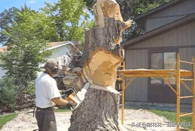 鬼斧神工！男子在庭院「鋸了百年大樹 」被鄰居指責　苦雕幾個禮拜後「樹木擁有新生命」驚呼：栩栩如生