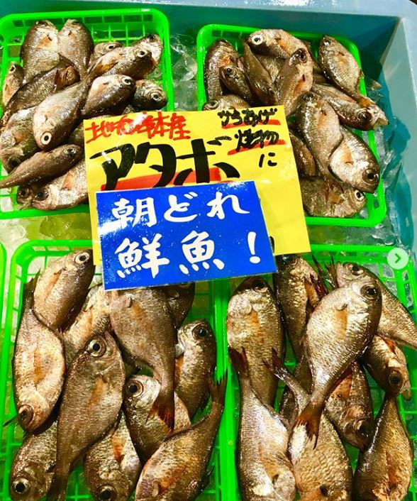 軟綿綿的屋頂!Q萌「圓頂棉花糖小屋村」像走進童話 夜晚「圓建築亮起閃耀燈光」一眼望去超浪漫❤️