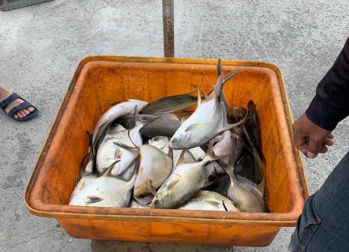 因為苦過才知道！海釣場老闆「捐整箱肥美魚貨」為弱勢童加菜　「背後藏洋蔥」感慨：也是艱苦小孩長大
