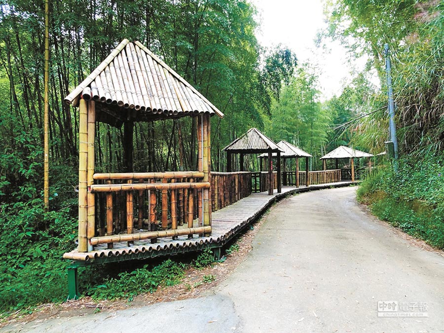 不用去日本！台灣6個「絕美竹林秘境」比嵐山更幽靜　走一趟「享受滿滿芬多精」忘卻憂愁
