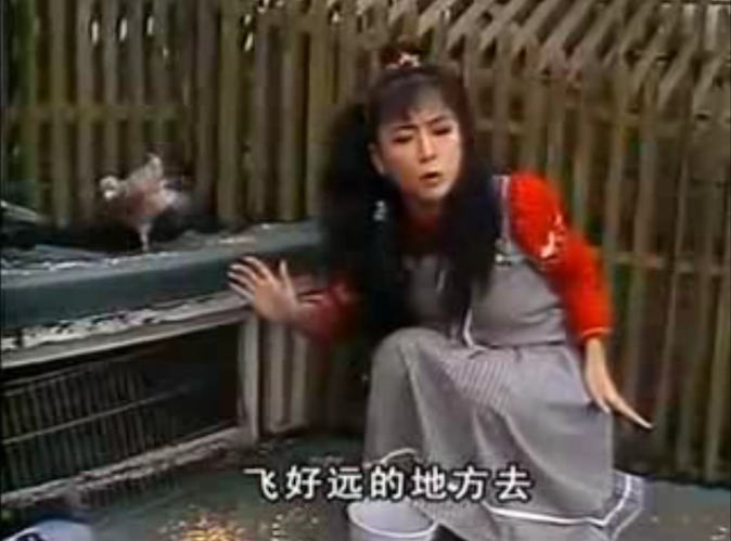 傻女翠珊爆紅全台！趙永馨密嫁攝影師15年「愛情苦盡甘來」　「偷偷轉幕後發展」成立工作室先生愛相隨